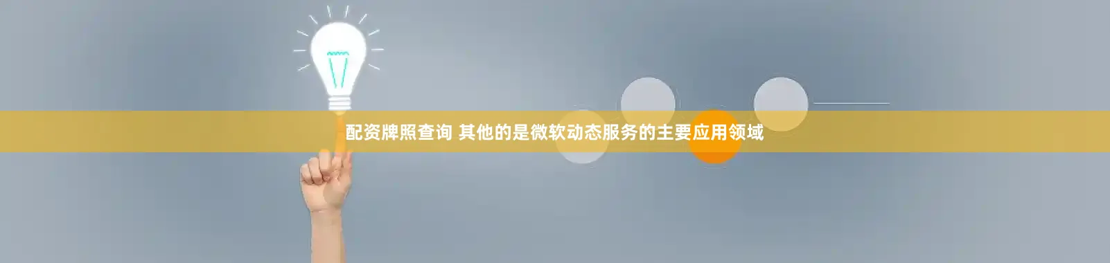 配资牌照查询 其他的是微软动态服务的主要应用领域