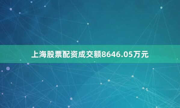 上海股票配资成交额8646.05万元