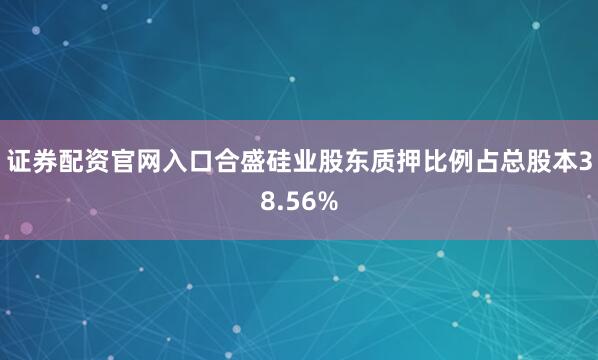 证券配资官网入口合盛硅业股东质押比例占总股本38.56%