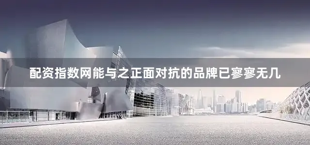 配资指数网能与之正面对抗的品牌已寥寥无几