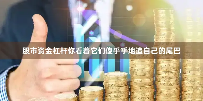 股市资金杠杆你看着它们傻乎乎地追自己的尾巴