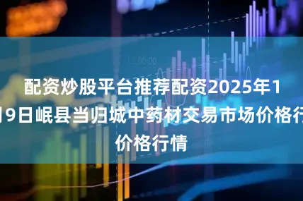 配资炒股平台推荐配资2025年10月9日岷县当归城中药材交易市场价格行情